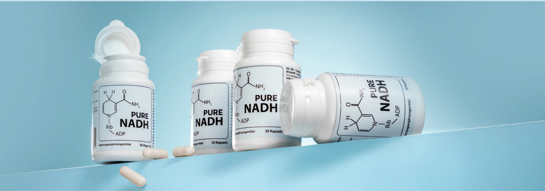 Anti-Aging mit NADH: Wie NADH deine Zellen schützt, Energie steigert und das Altern der Zellen verlangsamt