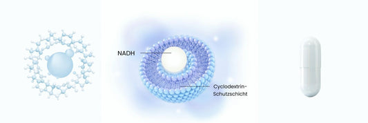 PureNADH: Warum unsere Doppelstabilisierung und HPMC-Kapseln den Unterschied machen