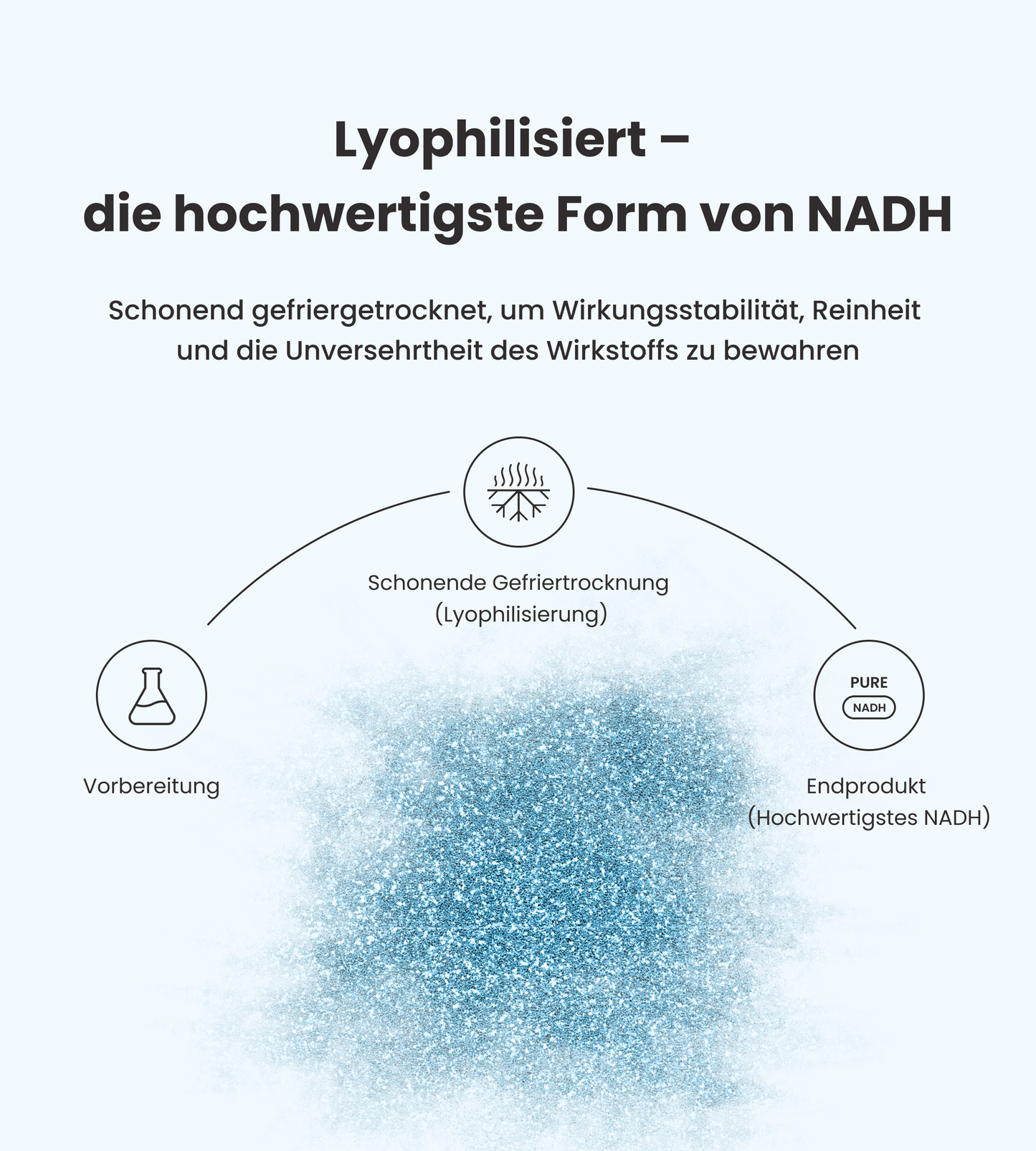 PureNADH 100 mg Kapseln
