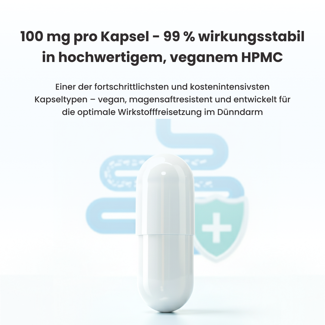 PureNADH 100 mg Kapseln