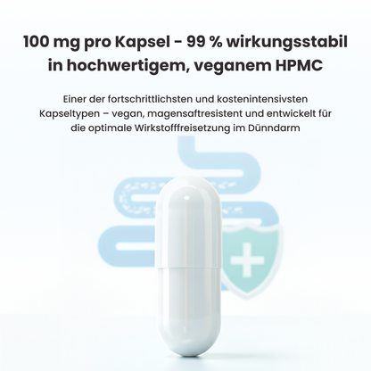 PureNADH 100 mg Kapseln