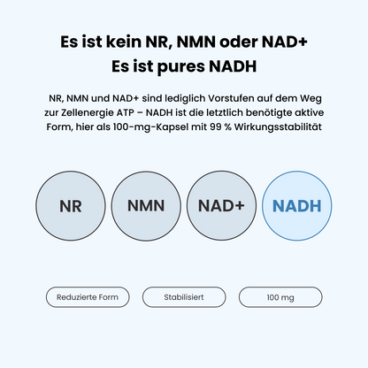 PureNADH 100 mg Kapseln